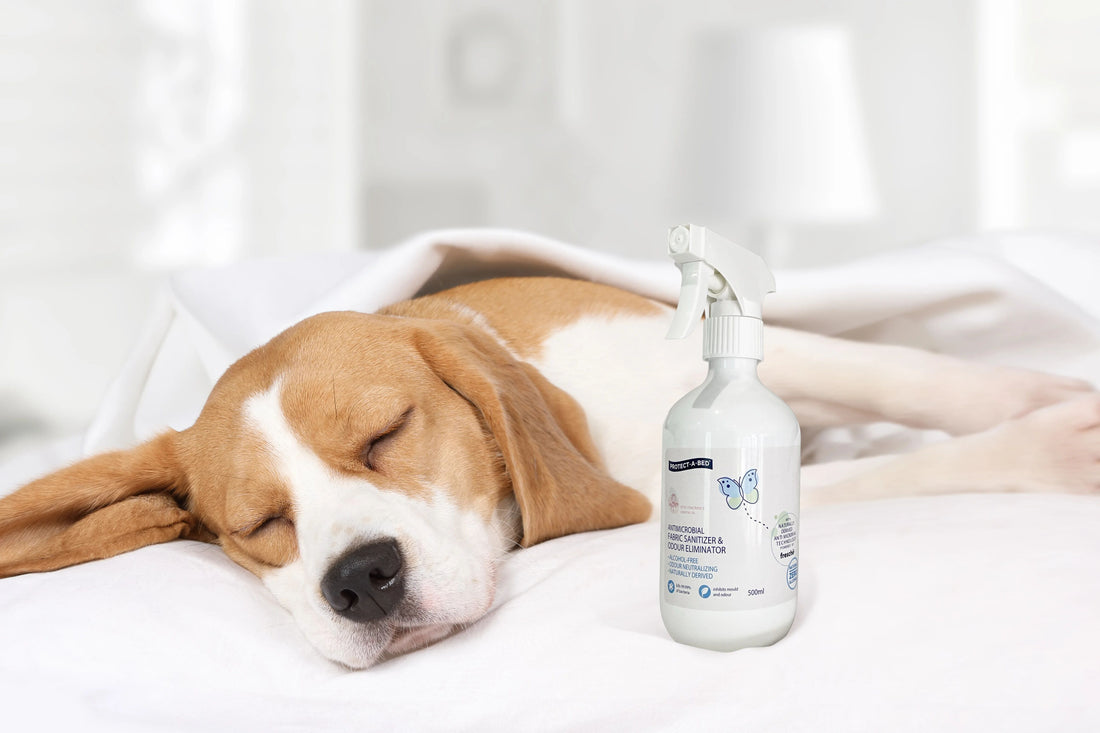 Protect-A-Bed® Fabric Santizer & Odour Eliminator Powered by Fresche®
